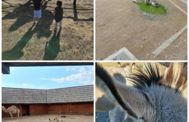 Apartman Batuda,moderno opremljen apartman u centru Đurđevca, u cijeni WELLNESS, sauna, bazen u obližnjem hotelu, mini zoo, 5G internet, R1 račun - Foto 35