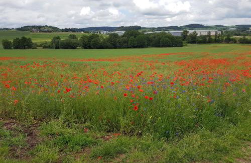 Eifelferienhaus Thome - Foto 18