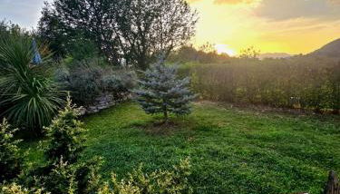 Il Gelso Rosso - Foto 1, Garden