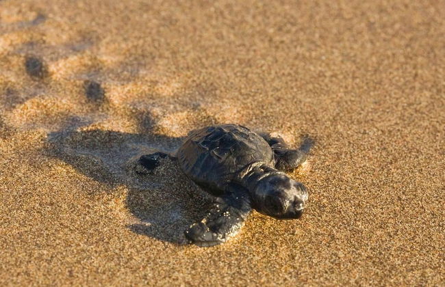 Beautiful and Large 3-bed Villa in Lapta, Cyprus - Foto 27