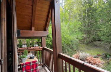 La petite di Amélie - Aux pieds du Mont Blanc - Foto 5