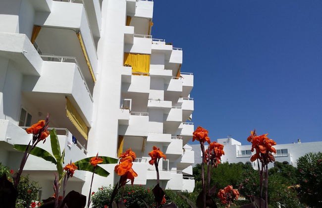 Hamilton Court Apartamentos - Photo 42