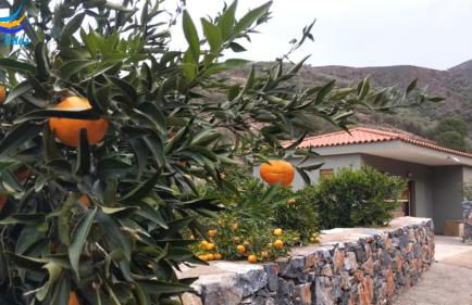 Litinos Villas - Foto 7