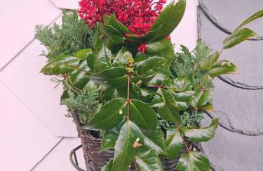 Ruhiges Ferienhaus mit viel Platz und Ladestation für E-Auto - Foto 15