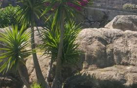 Casa das Oliveiras, o Douro no seu esplendor! - Foto 25