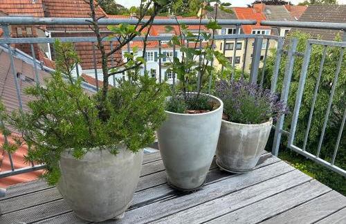 Dachstudio im Geteviertel - citynah - Foto 31