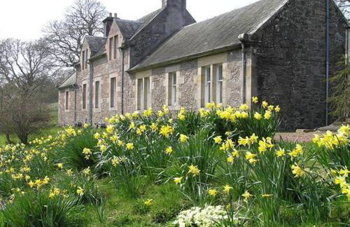 The Maid's House - Foto 12