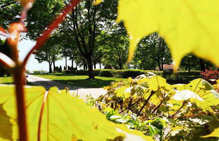 Modernes Familien Tiny House - Natur & Sternenhimmel inklusive! - Foto 42
