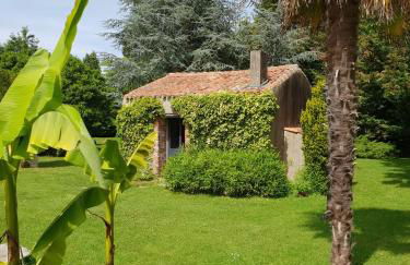 Gîte "Bornéo", avec parking securisé - Photo 36