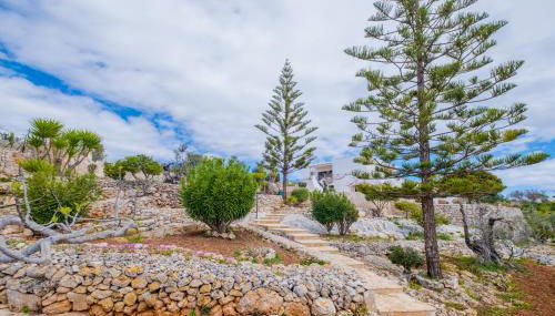 Casa Euforbia Vista Mare - Pescoluse - Foto 2, Garden, Garden view