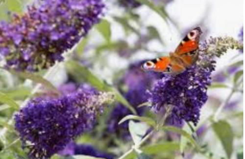 Loxley Barn, 1-bed Cottage Retreat - Photo 33