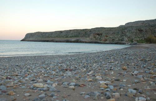 Little Blue - Photo 33