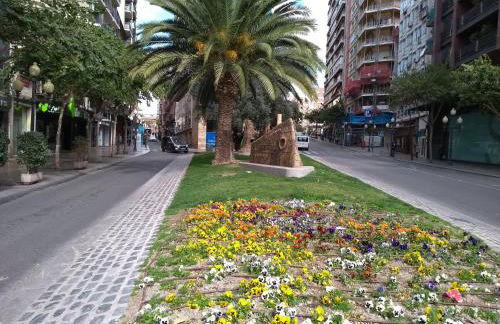 La Estrella de Alicante - Foto 40