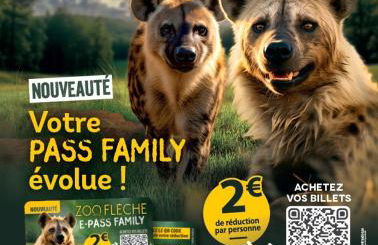 Gîte La Terrasse du Loir à 2km du Zoo de la Flèche - Photo 56