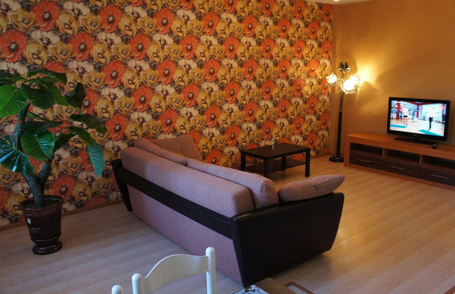 Hotel in Apartment Irkutsk - Photo 68
