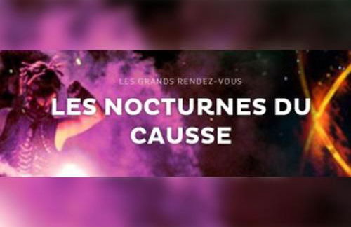 Maison Avec Spa et Sauna Privé - Foto 67