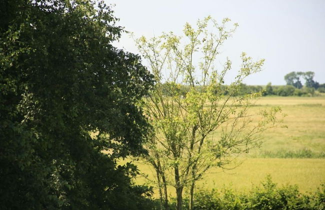 Haus Sanfte Brise - Foto 35