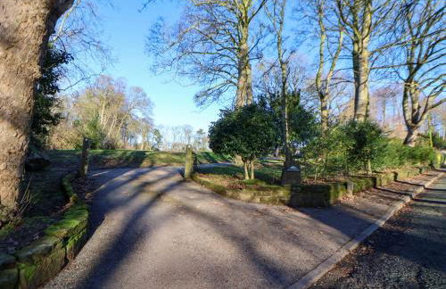 The Apple Store - Photo 30