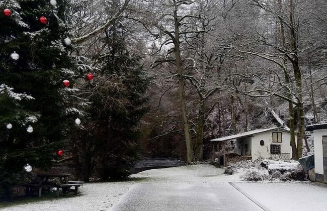 Former Coach House in the Harz - Foto 24
