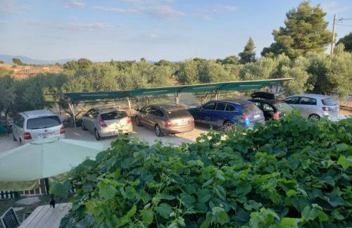 BS Village green - Photo 3