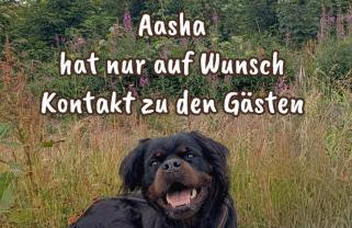 Landhaus "Kühler Morgen", komfortable FeWo mit Aussicht - Foto 2