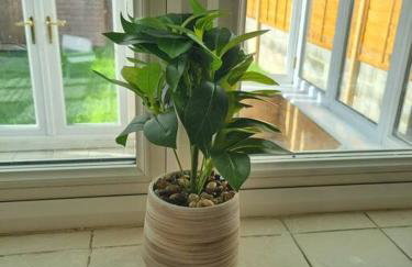 Charming 3Bed House in Strood - Foto 14