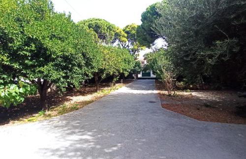 Σπίτι στο Ρίο Πατρών με κήπο - Detached House In Rio With Garden - Foto 11