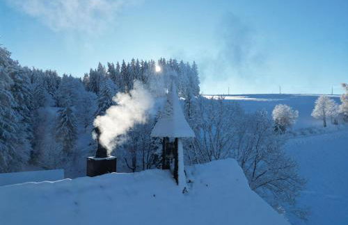 Schwarzwald Chalet - Karlshütte - Photo 8
