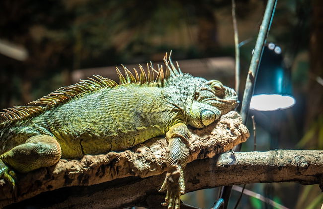 Ferien- und Freizeitpark Weissenhauser Strand - Foto 13