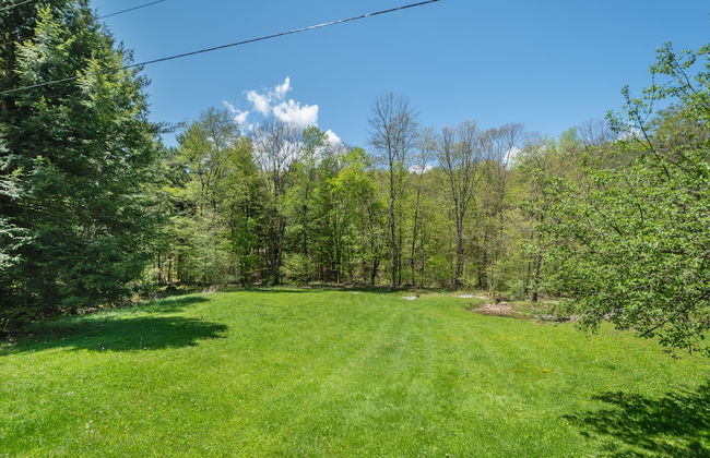 Cabin at Slope's Edge - Photo 24