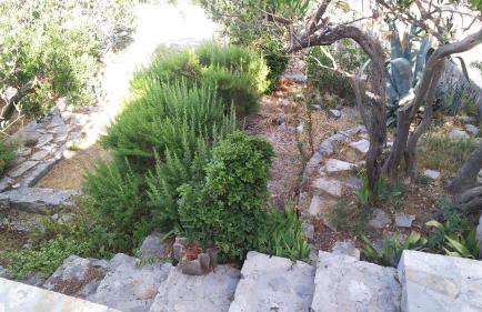 Villa Sonia Kaprije - Foto 11