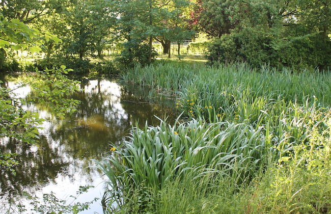 Colston Hall Cottages - Foto 63