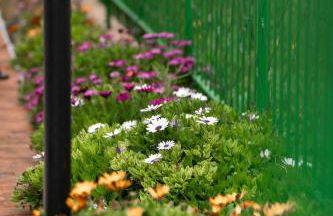 Anastasia's House - Foto 64