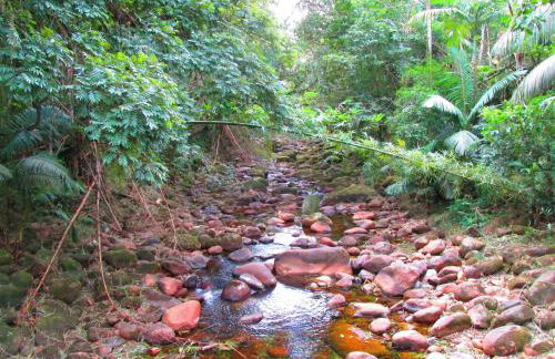 Refúgio dos Valdenses - Photo 40