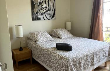 Magnifique appartement entièrement rénové - Foto 17