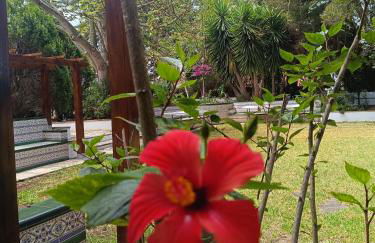 Villa Ilusión - Foto 27