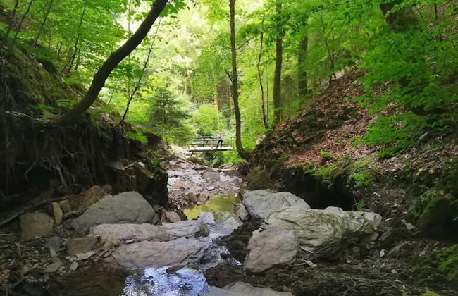 Moderne Gemeinschaftsunterkunft in Winterberg - Foto 38
