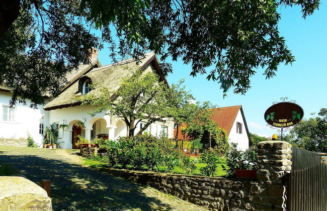 Lake Balaton Full-Day Trip - Foto 10