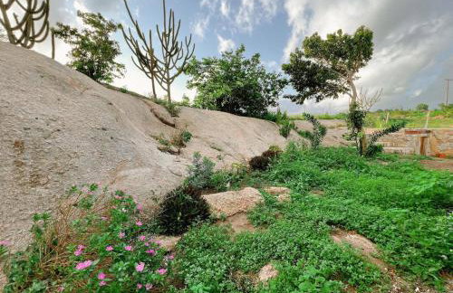 Casa Lajeiro - Foto 31