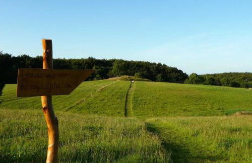 Villa Stubnitz - Foto 4