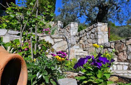 The Olive Tree - Photo 32