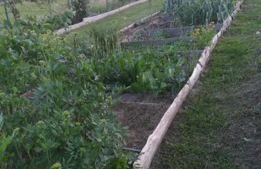 Ruralna kuća za odmor Pozojova hiža - Rural Holiday House - Foto 39