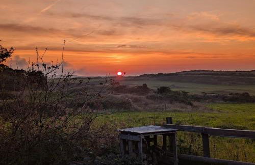 West mouse view - Foto 26