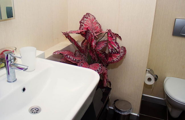 D&D Suites Flora - Foto 29