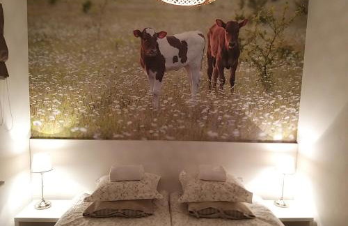 Nowe Guty Fun - Foto 9