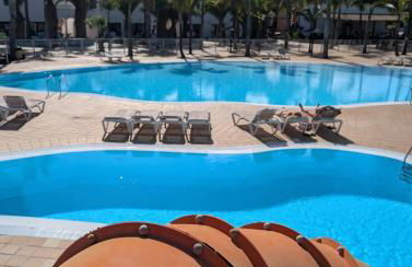 Oasis Bliss - Photo 15