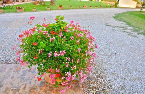 Morami Wine Agriturismo - Foto 96