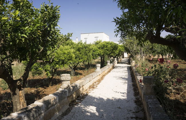 Masseria Capece - Photo 32
