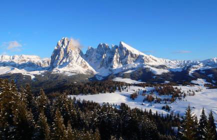 Apartments Heritage House Margherita - Foto 33