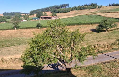 Les Gîtes de Sophinette - Foto 2